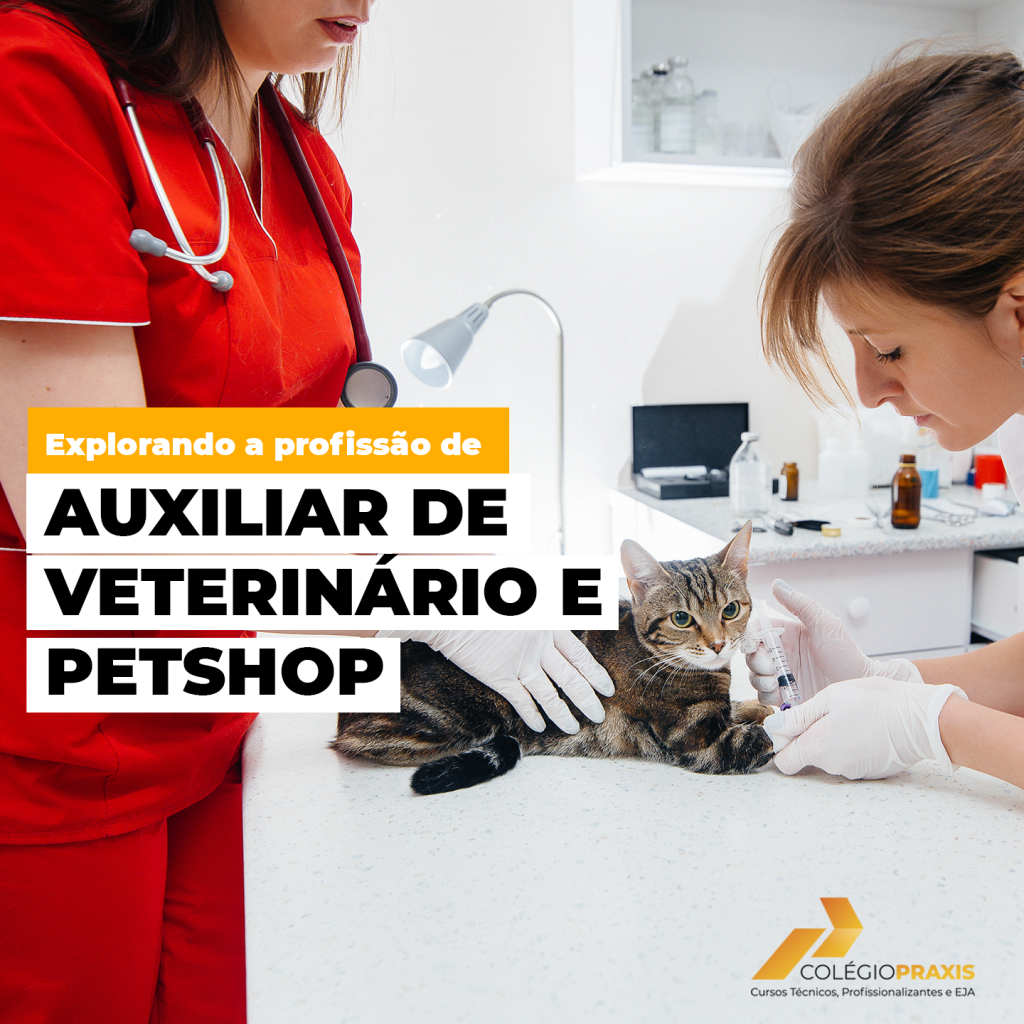 Explorando A Profiss O De Auxiliar De Veterin Rio E O Trabalho Em Pet Shop Colegio Praxis